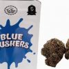 blue gushers strain